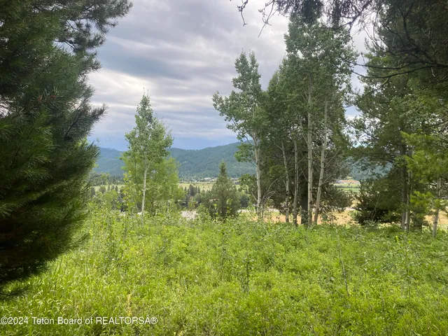 $380,000 | Lot 4 Pine Street, Alpine, WY 83128