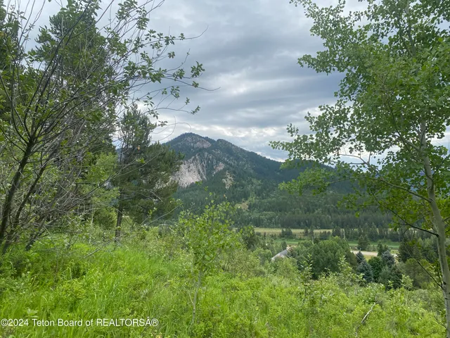 $380,000 | Lot 4 Pine Street, Alpine, WY 83128