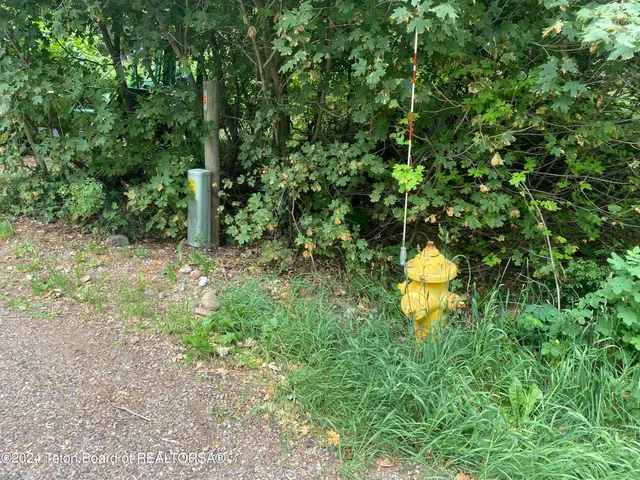 $380,000 | Lot 4 Pine Street, Alpine, WY 83128