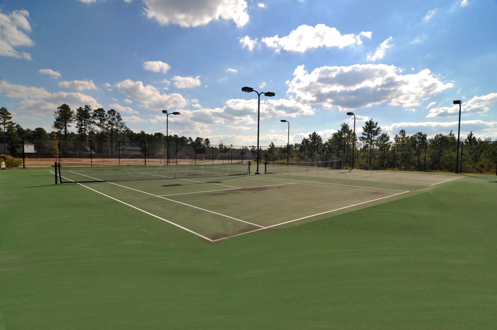 9032 Gardens Grove Road Leland, NC 28451 - Photo 5 of 5 Tennis Court