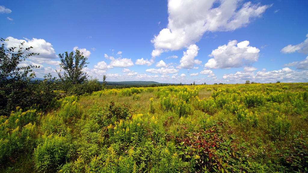 Lot 3 Dyer Brook Road Dyer Brook, ME 04747 - Photo 15 of 30 dyer-brook-land-strubbar-7
