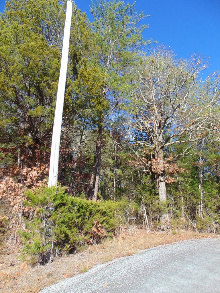 463 Co Road Englewood, TN 37329 - Photo 23 of 28