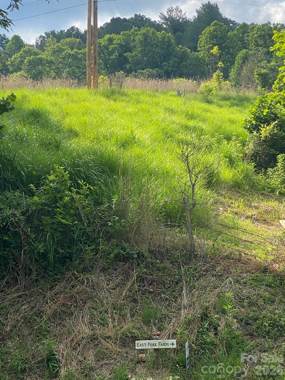 0 East Fork Road Marshall, NC 28753 - Photo 21 of 22