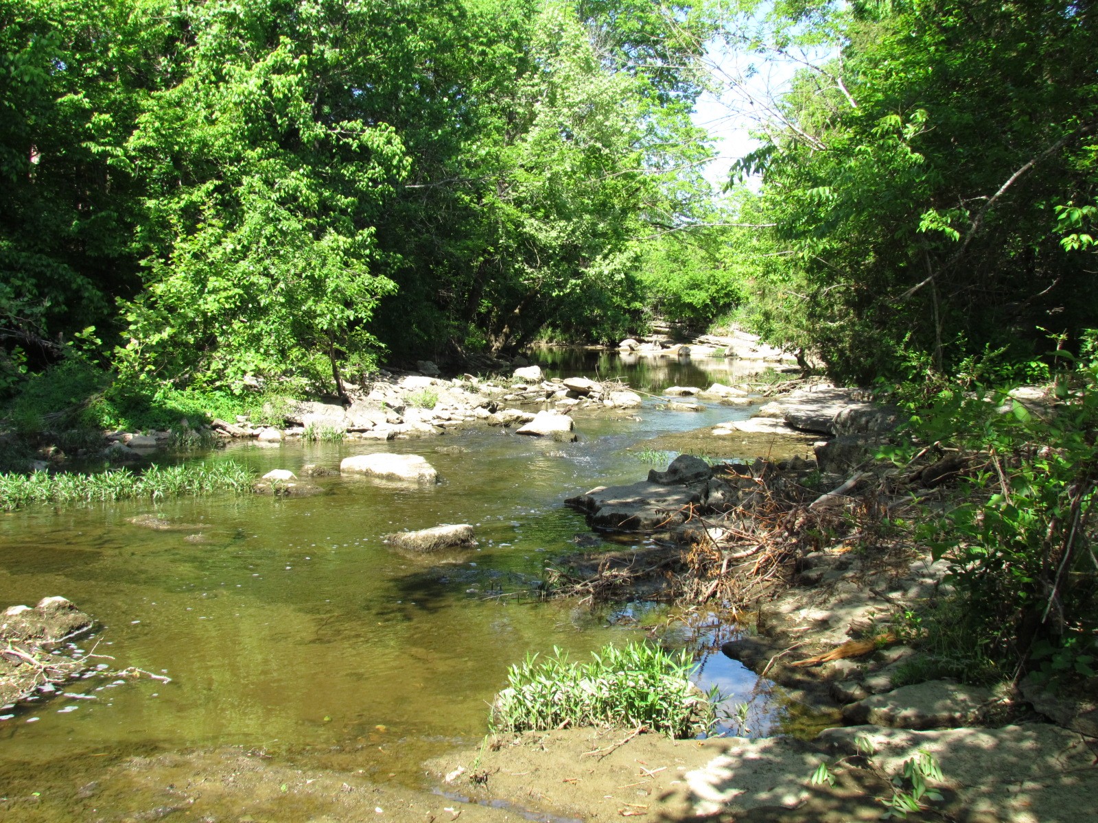 0 Mill Road Watertown, TN 37184 - Photo 20 of 30 Gallery Image 20