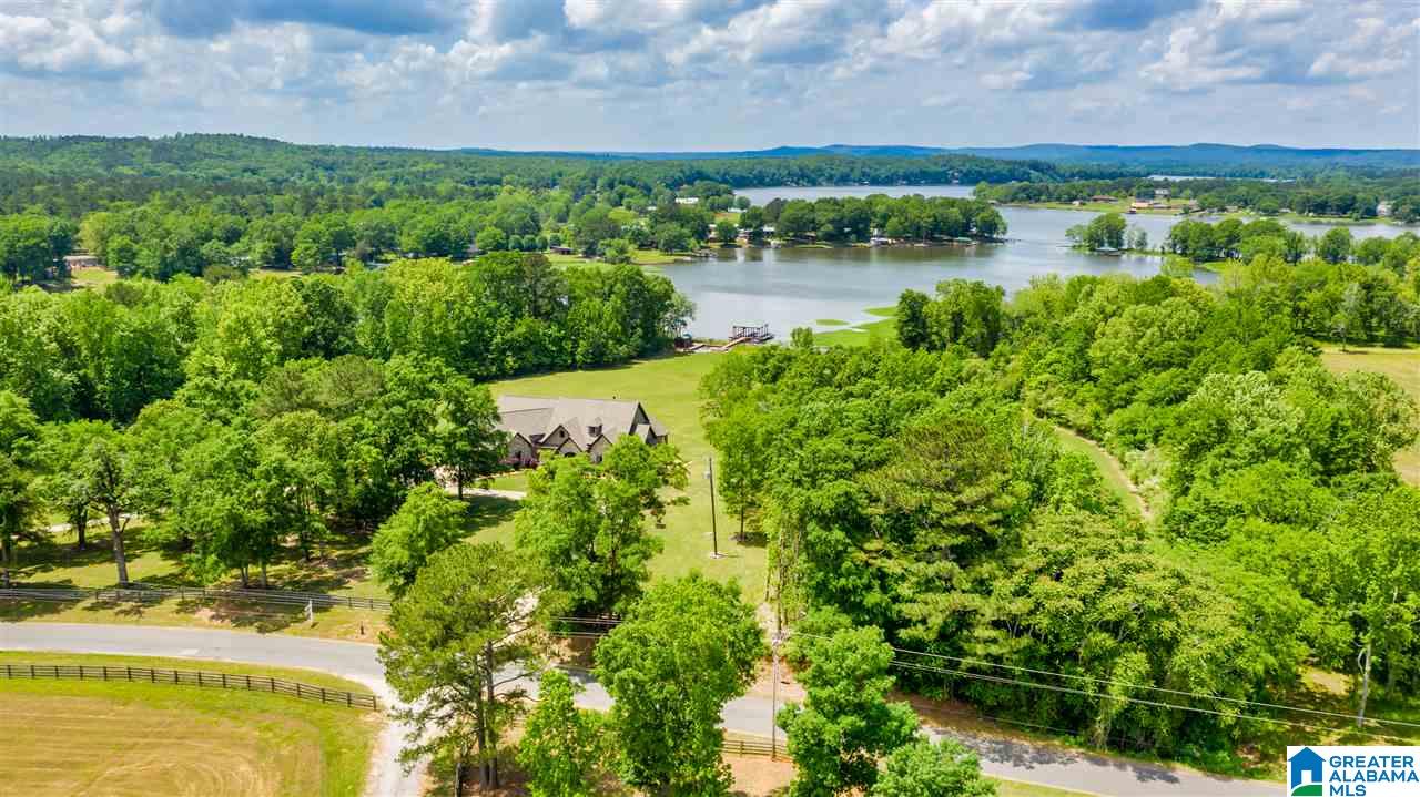 4371 McGowans Ferry Road Childersburg, AL 35044 - Photo 45 of 47