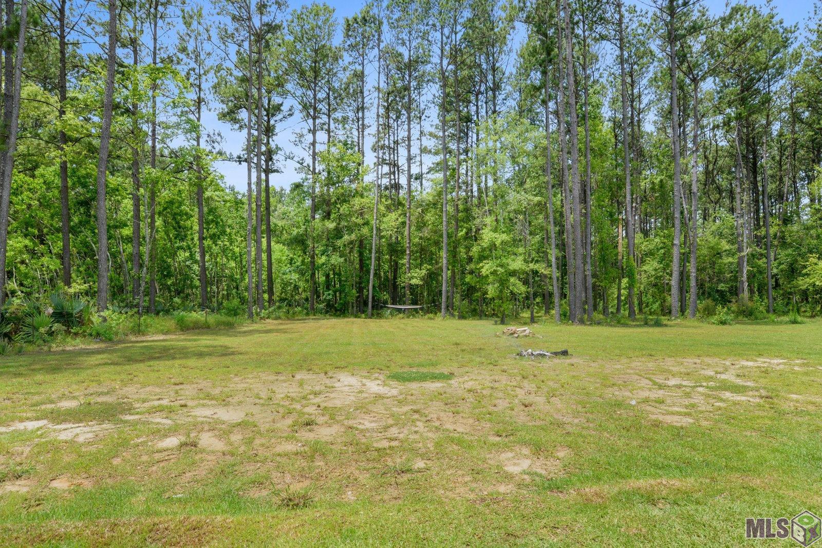12682 Brown Road Denham Springs, LA 70726 - Photo 11 of 11