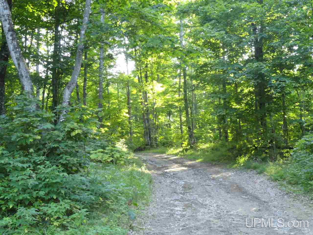 80 NORTH Off Co Road Ishpeming, MI 49849 - Photo 15 of 19