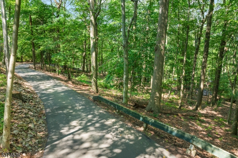 201 Dryden Road Bernardsville, NJ 07924 - Photo 48 of 48 a backyard of a house with lots of green space