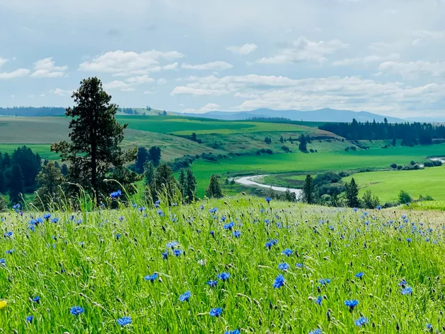 $299,000 | 11900 East Hays Road, Unit LOT A PARCEL 9030, Fairfield, WA 99012