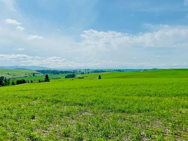 $299,000 | 11900 East Hays Road, Unit LOT A PARCEL 9030, Fairfield, WA 99012