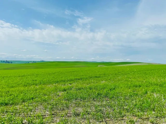 $299,000 | 11900 East Hays Road, Unit LOT A PARCEL 9030, Fairfield, WA 99012