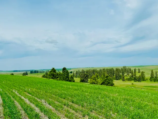 $299,000 | 11900 East Hays Road, Unit LOT A PARCEL 9030, Fairfield, WA 99012