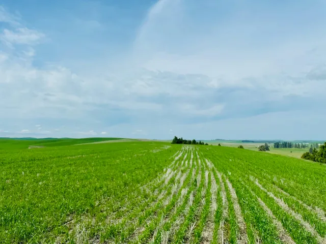 $299,000 | 11900 East Hays Road, Unit LOT A PARCEL 9030, Fairfield, WA 99012