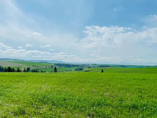 $299,000 | 11900 East Hays Road, Unit LOT A PARCEL 9030, Fairfield, WA 99012