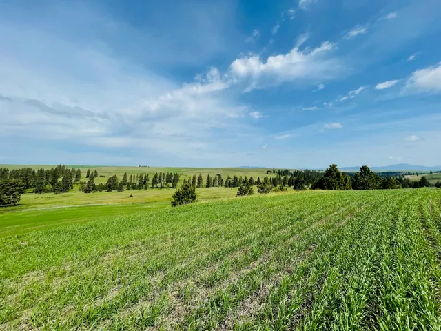 $299,000 | 11900 East Hays Road, Unit LOT A PARCEL 9030, Fairfield, WA 99012