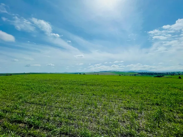 $299,000 | 11900 East Hays Road, Unit LOT A PARCEL 9030, Fairfield, WA 99012