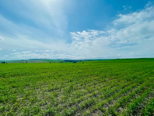 $299,000 | 11900 East Hays Road, Unit LOT A PARCEL 9030, Fairfield, WA 99012