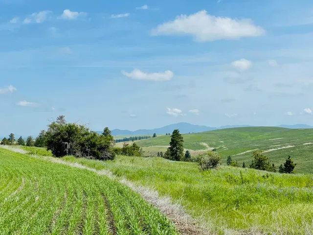 $299,000 | 11900 East Hays Road, Unit LOT A PARCEL 9030, Fairfield, WA 99012