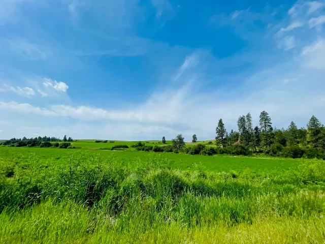 $299,000 | 11900 East Hays Road, Unit LOT A PARCEL 9030, Fairfield, WA 99012