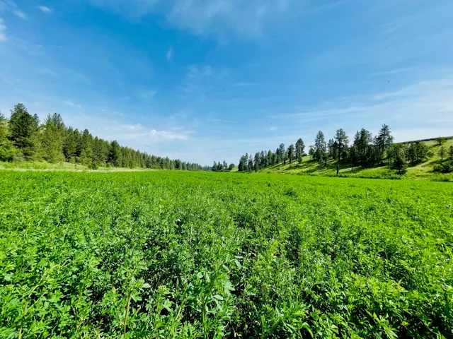 $299,000 | 11900 East Hays Road, Unit LOT A PARCEL 9030, Fairfield, WA 99012