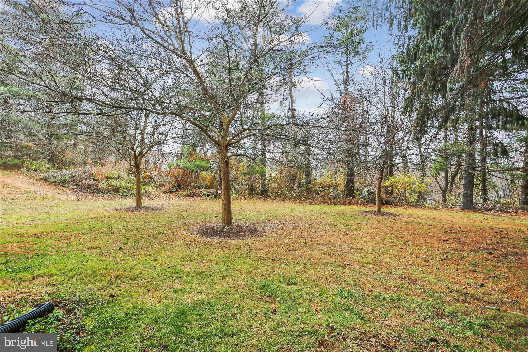 18612 Walkers Choice Road, Unit 1 Montgomery Village, MD 20886 - Photo 24 of 42 a tree is standing in between the large trees