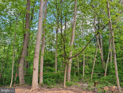 $230,000 | 3964 Hidden Valley Lane, Linden, VA 22642