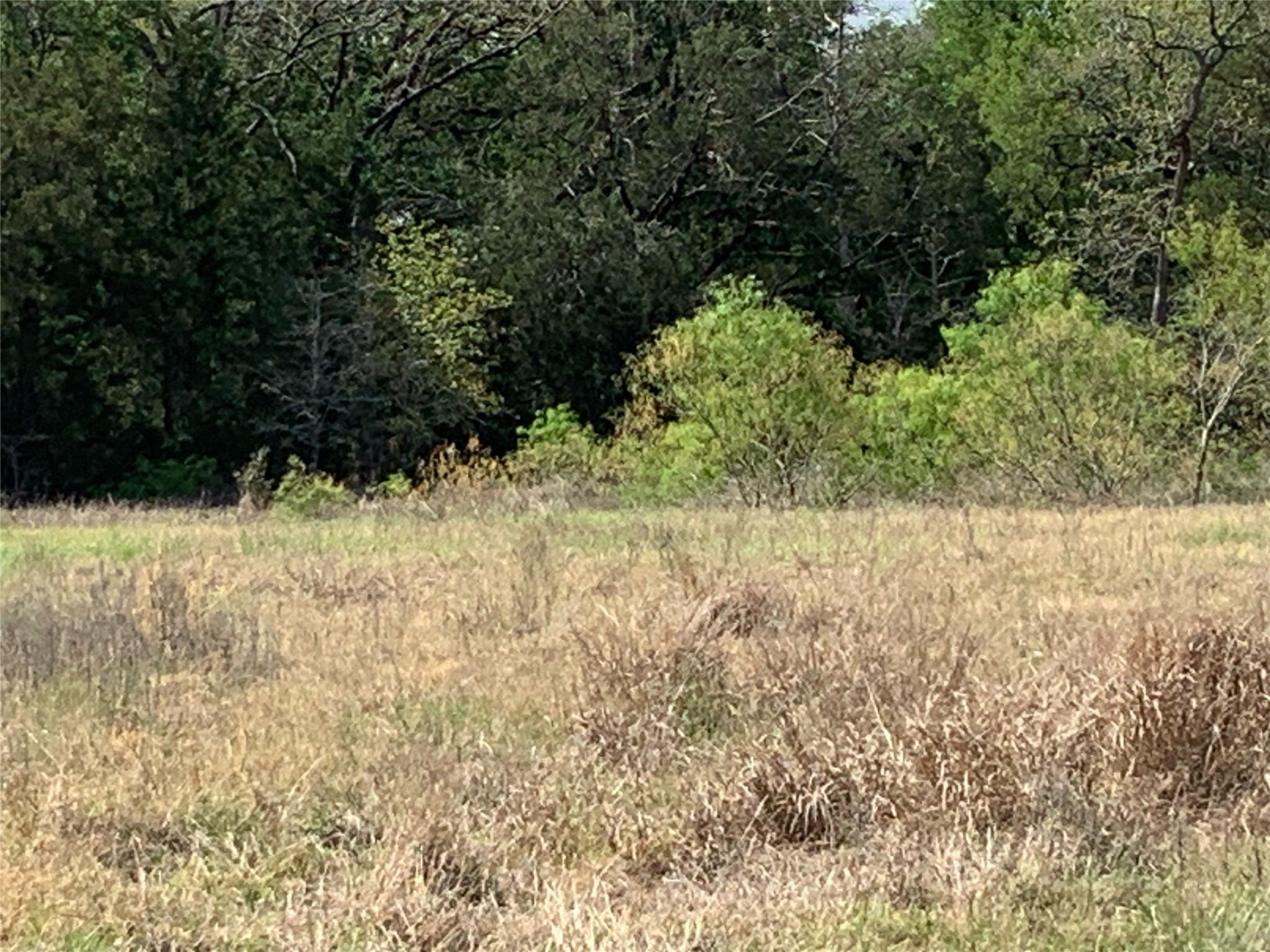 Tbd Goehring Road Ledbetter, TX 78946 - Photo 2 of 7