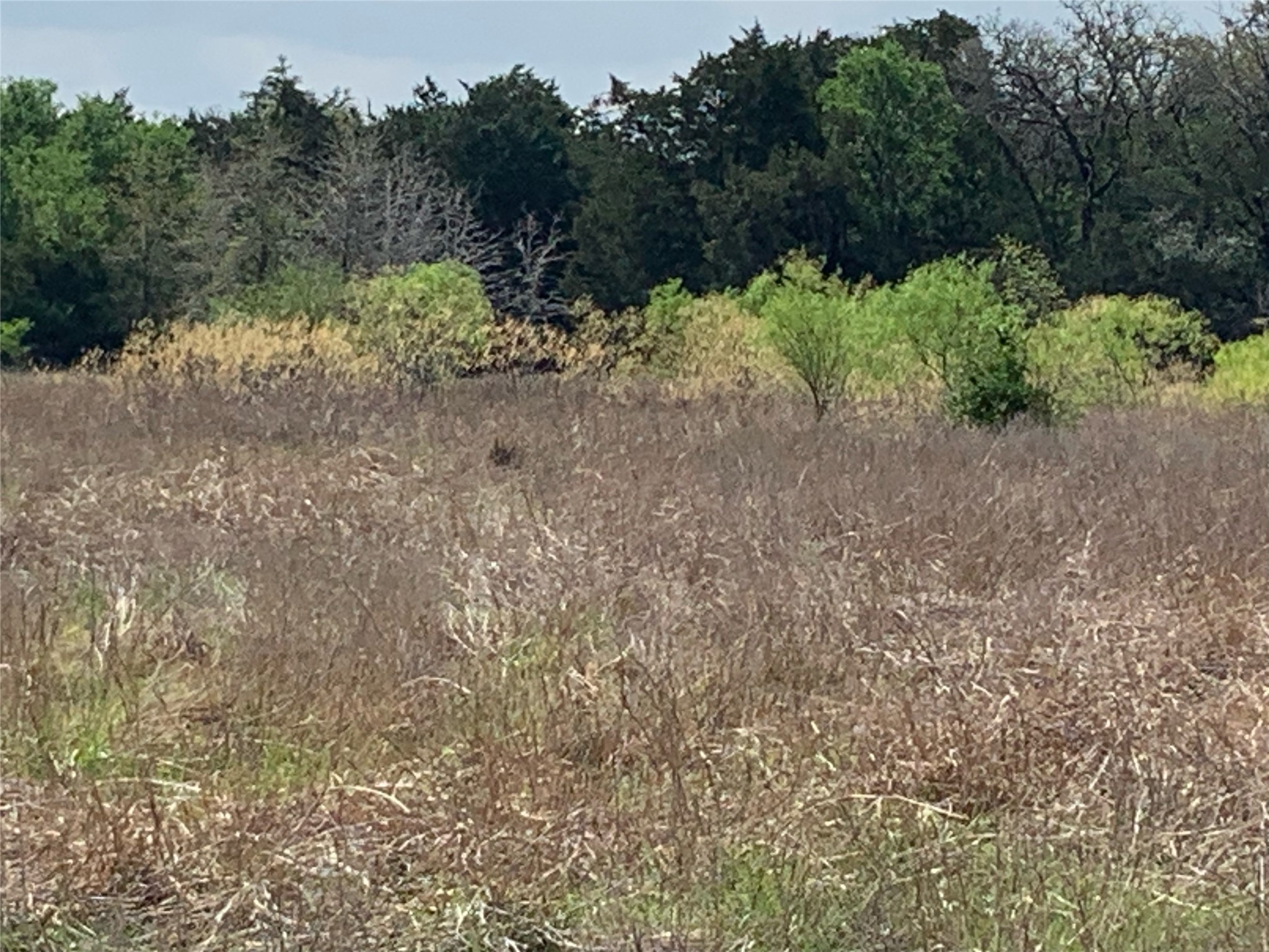Tbd Goehring Road Ledbetter, TX 78946 - Photo 3 of 7