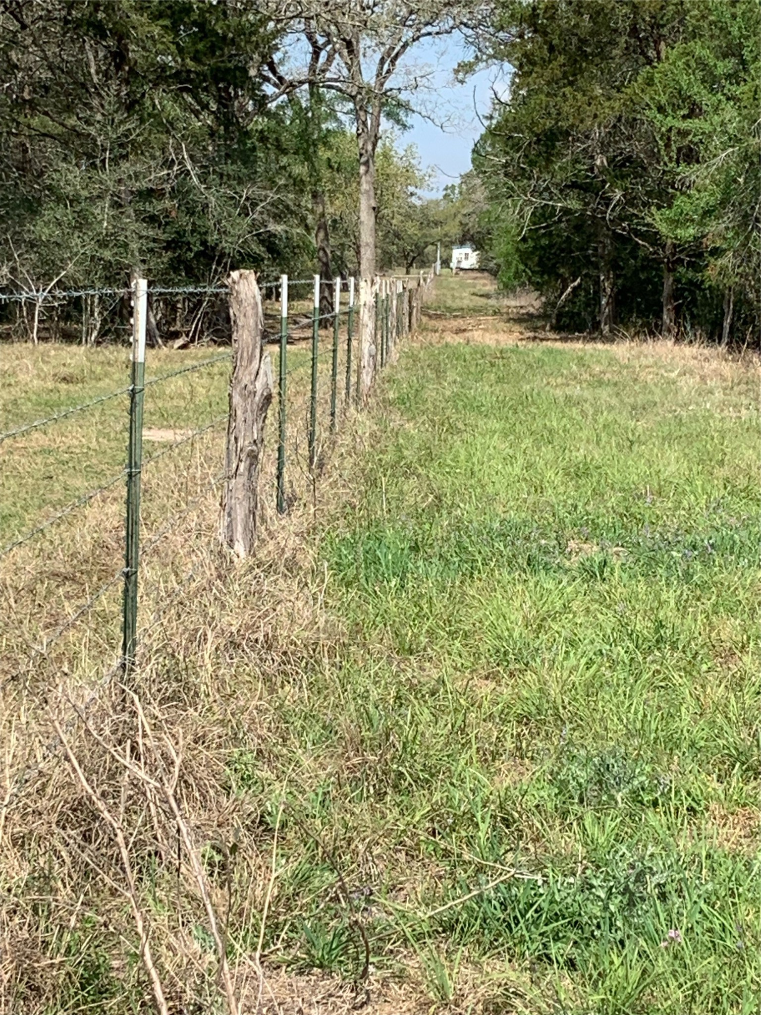 Tbd Goehring Road Ledbetter, TX 78946 - Photo 5 of 7