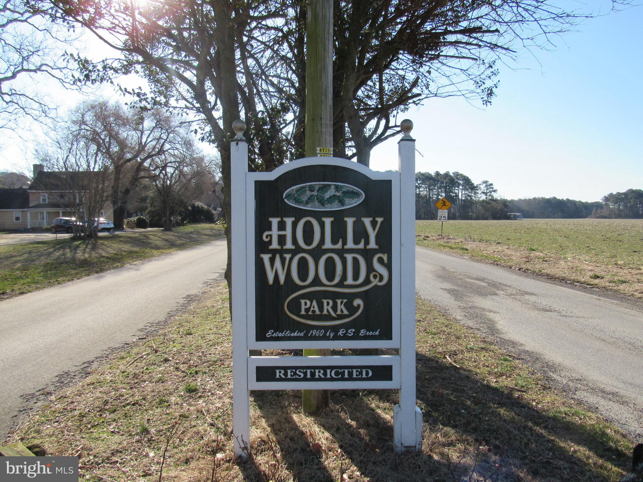 32612 Pine Grove Road Laurel, DE 19956 - Photo 14 of 45 Nice community with no HOA fee's .