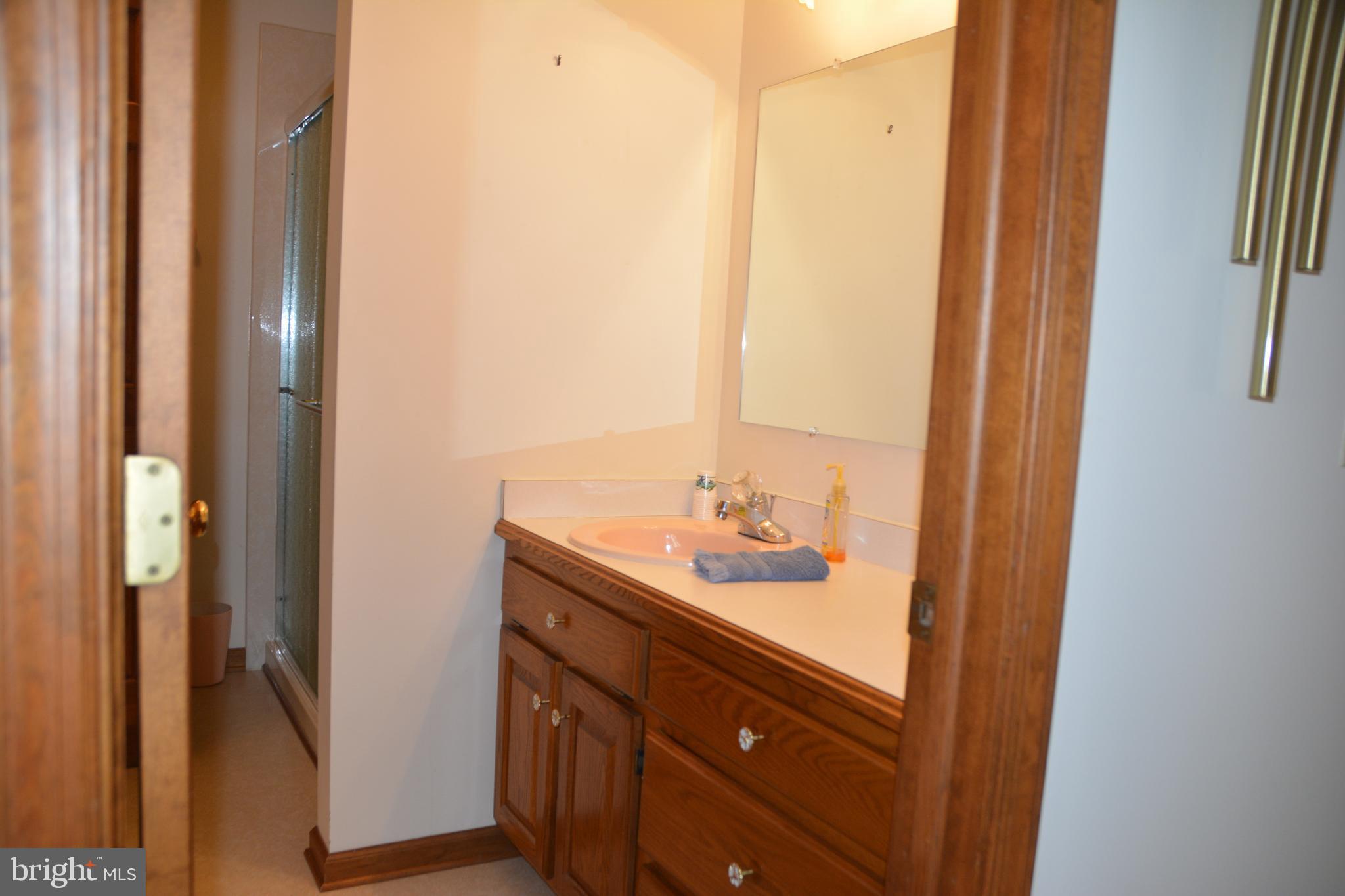 32612 Pine Grove Road Laurel, DE 19956 - Photo 41 of 45 First floor bathroom