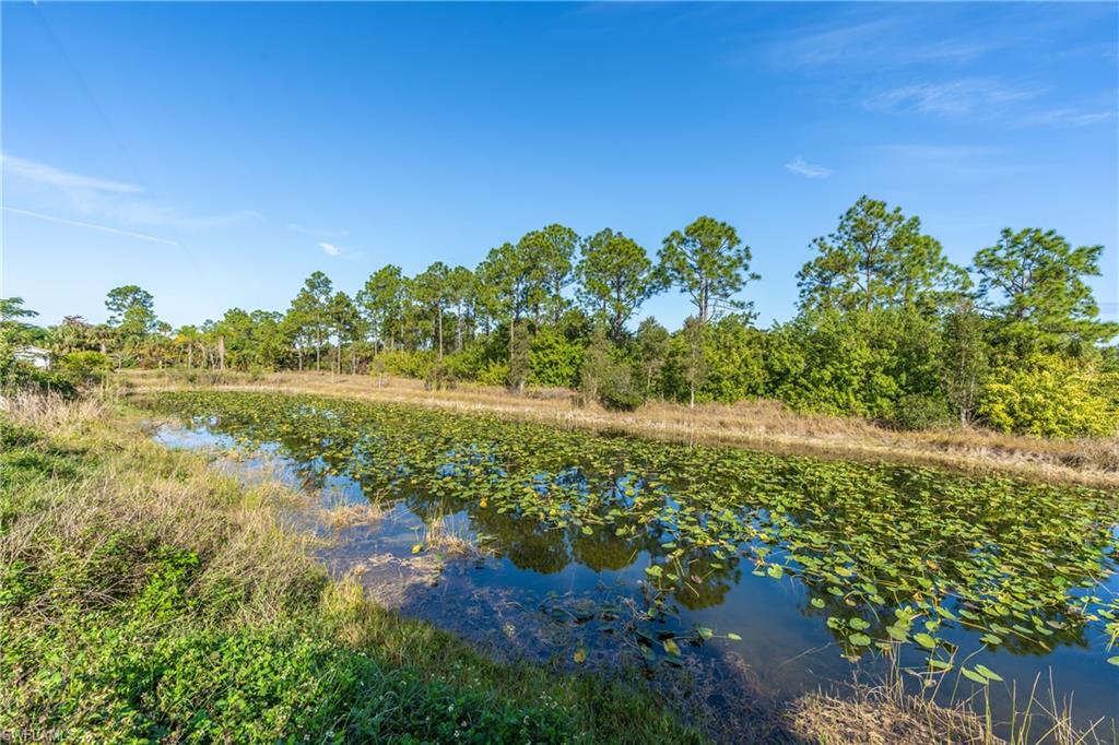 1507 East 9th Street Lehigh Acres, FL 33972 - Photo 24 of 25