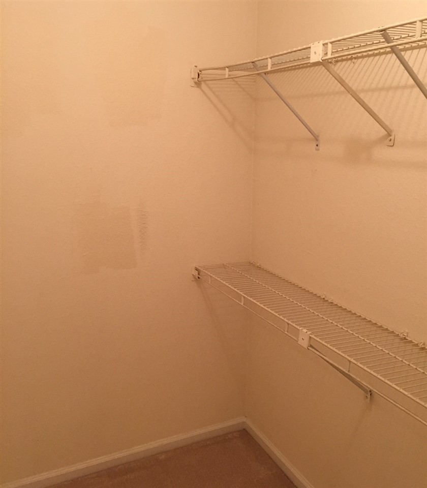 7918 Falcon Rest Circle Raleigh, NC 27615 - Photo 14 of 25 Master Walk-In Closet