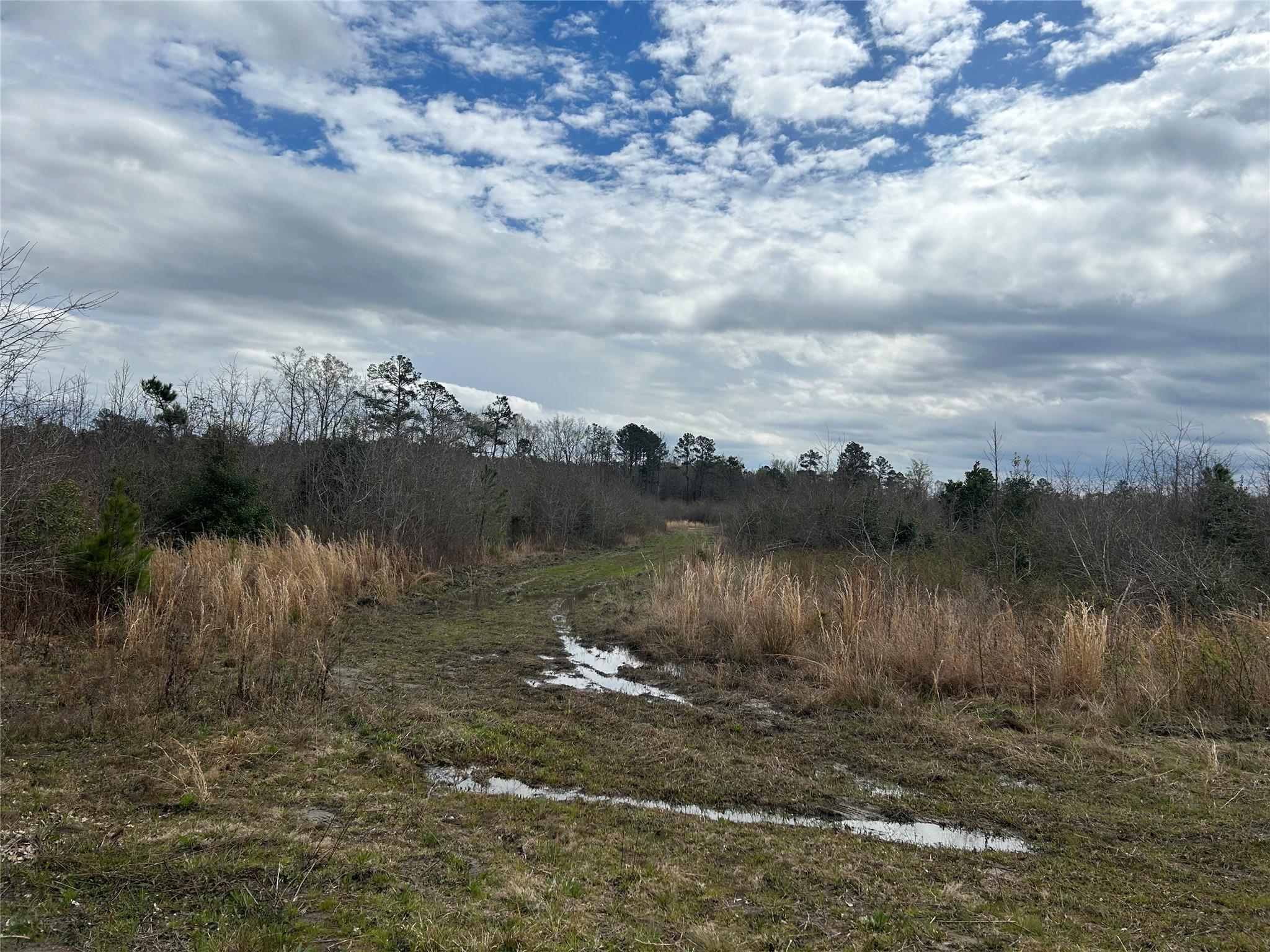 269 Chestnut Street Bethune, SC 29009 - Photo 10 of 29 Gallery Image 10