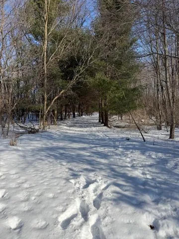 $220,000 | Warner Road, Laingsburg, MI 48848