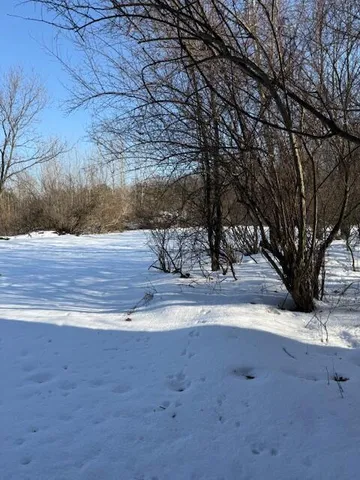 $220,000 | Warner Road, Laingsburg, MI 48848