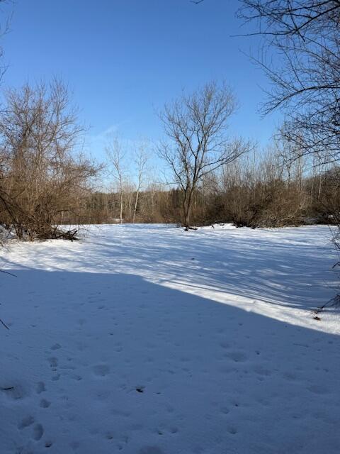 Warner Road Laingsburg, MI 48848 - Photo 12 of 13 Photo 12