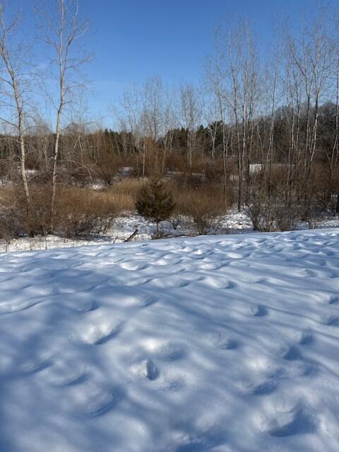 Warner Road Laingsburg, MI 48848 - Photo 13 of 13 Photo 13