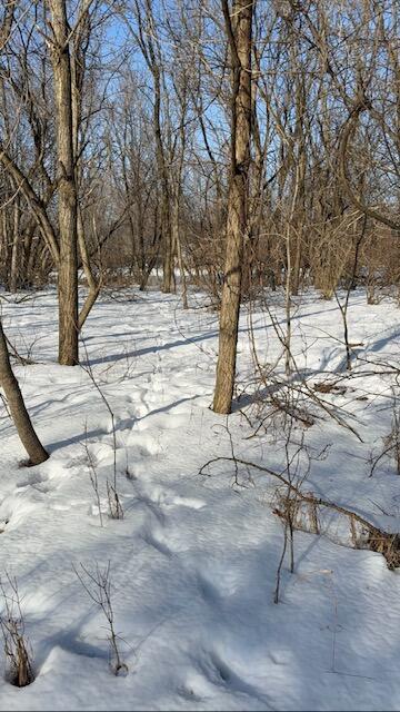 Warner Road Laingsburg, MI 48848 - Photo 2 of 13 Photo 2.jpeg