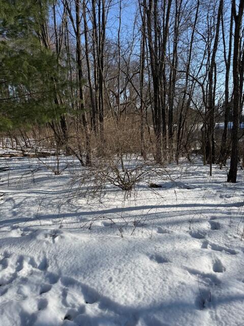 Warner Road Laingsburg, MI 48848 - Photo 3 of 13 Photo 3