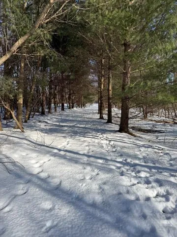 $220,000 | Warner Road, Laingsburg, MI 48848