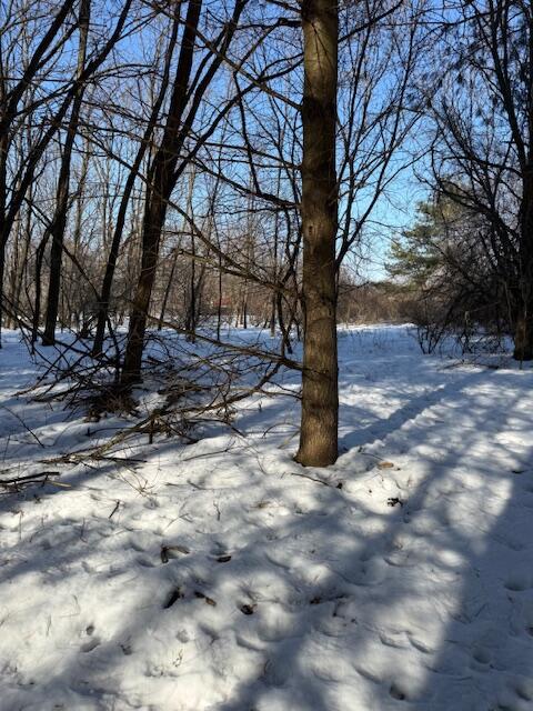 Warner Road Laingsburg, MI 48848 - Photo 5 of 13 Photo 5