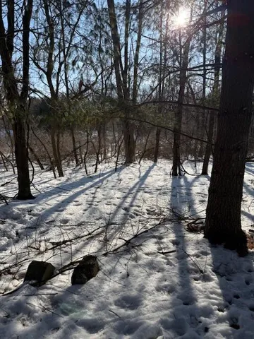 $220,000 | Warner Road, Laingsburg, MI 48848