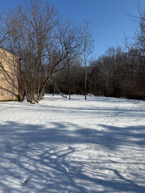 Warner Road Laingsburg, MI 48848 - Photo 8 of 13 Photo 8