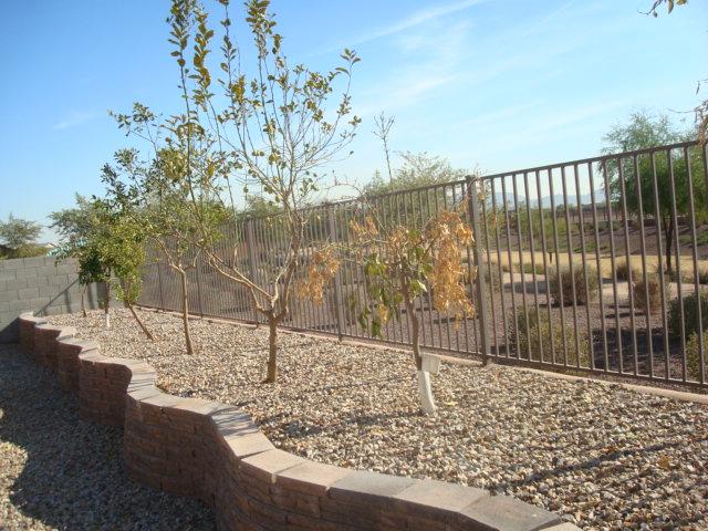 6917 West Beverly Road Laveen, AZ 85339 - Photo 15 of 16 View Fence
