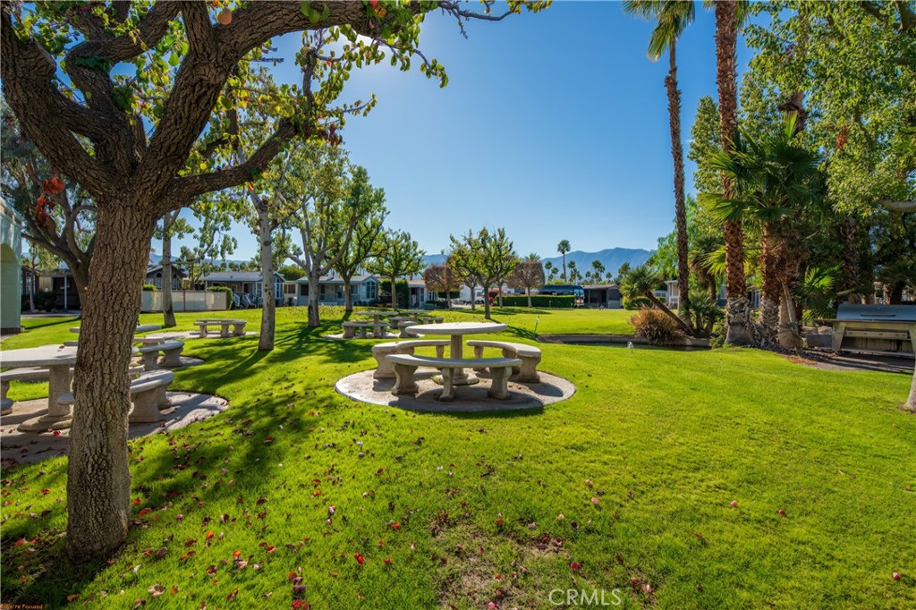 69801 Ramon Road, Unit 185 Cathedral City, CA 92234 - Photo 30 of 34