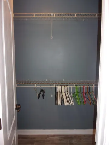 a view of a backyard with trees