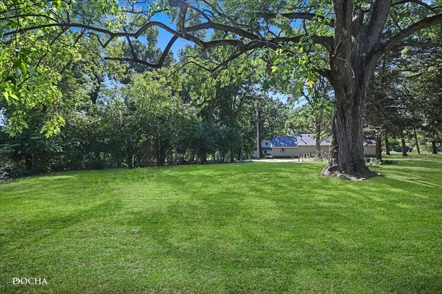 a view of a yard with a tree
