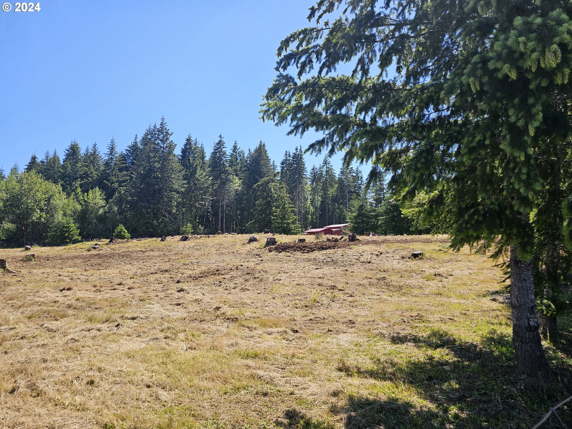7305 Ash Street Grand Ronde, OR 97347 - Photo 42 of 47 a view of a yard with trees
