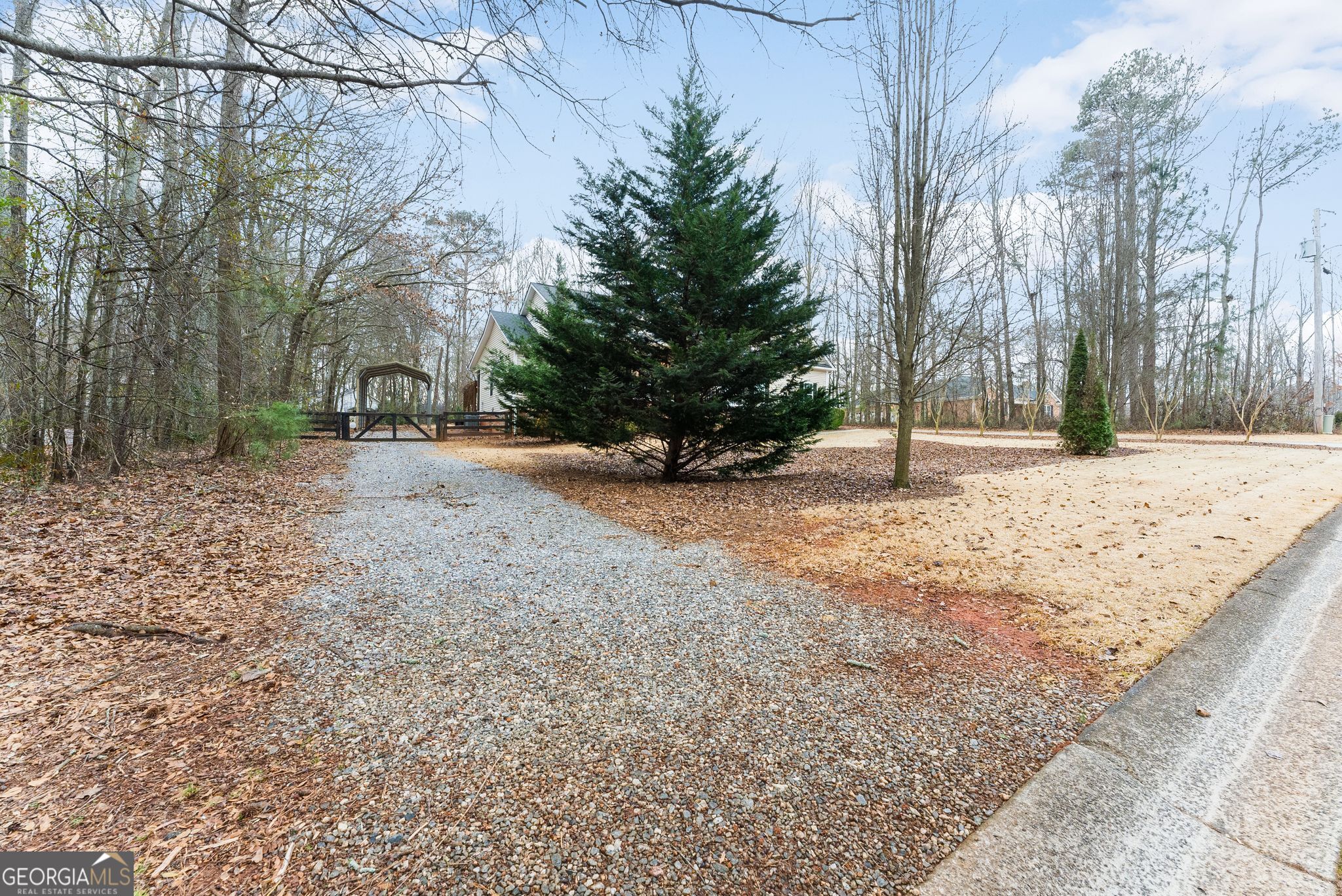 96 Magnolia Place Commerce, GA 30529 - Photo 50 of 58 a view of a yard with a tree